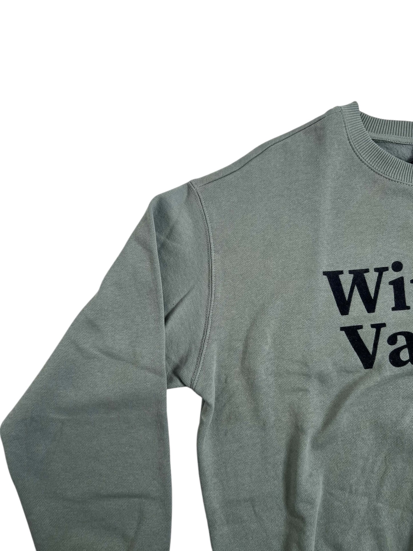 ZARA Sage Sweatshirt, Age 11-12 (New with Tags)