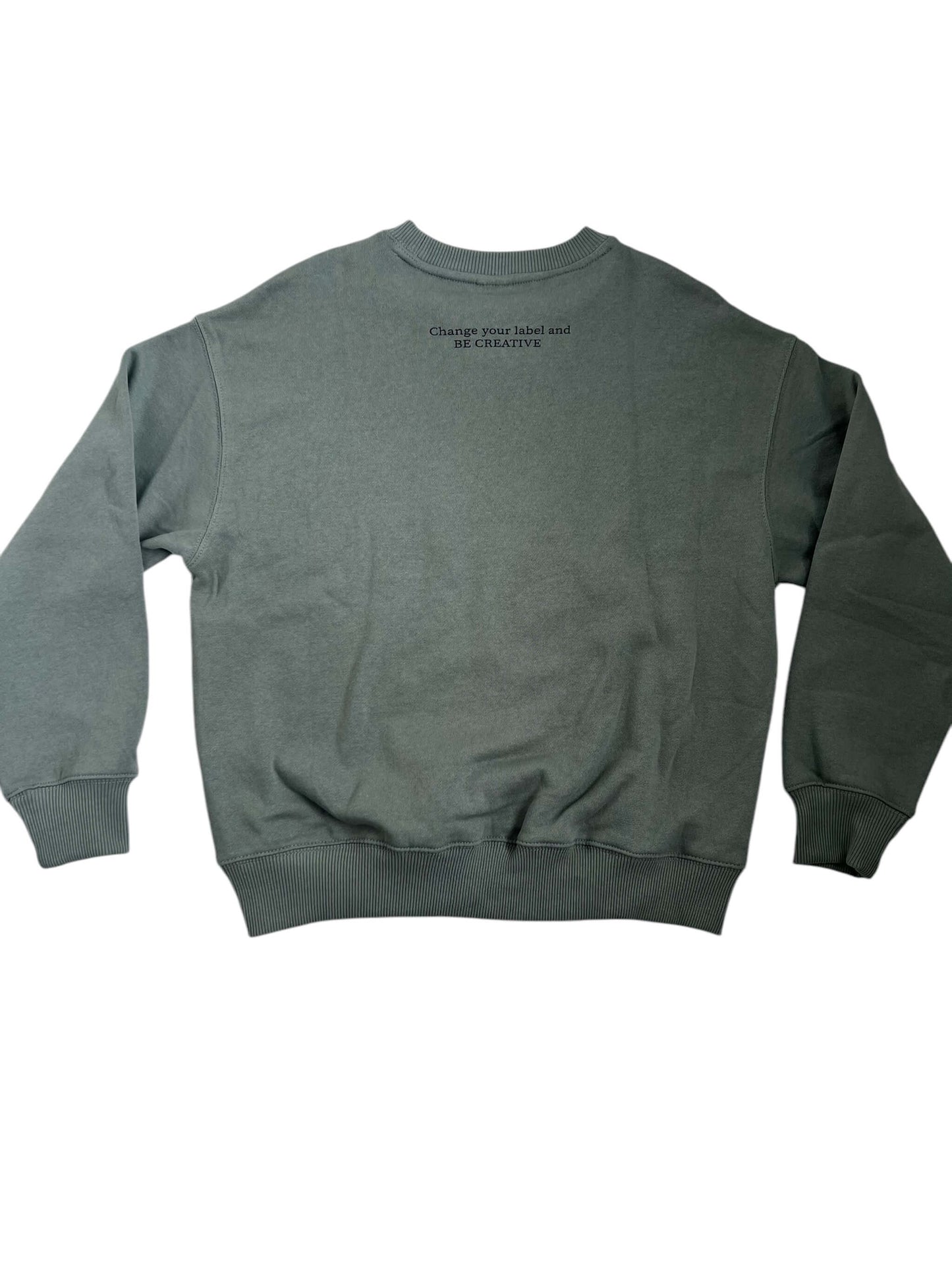 ZARA Sage Sweatshirt, Age 11-12 (New with Tags)
