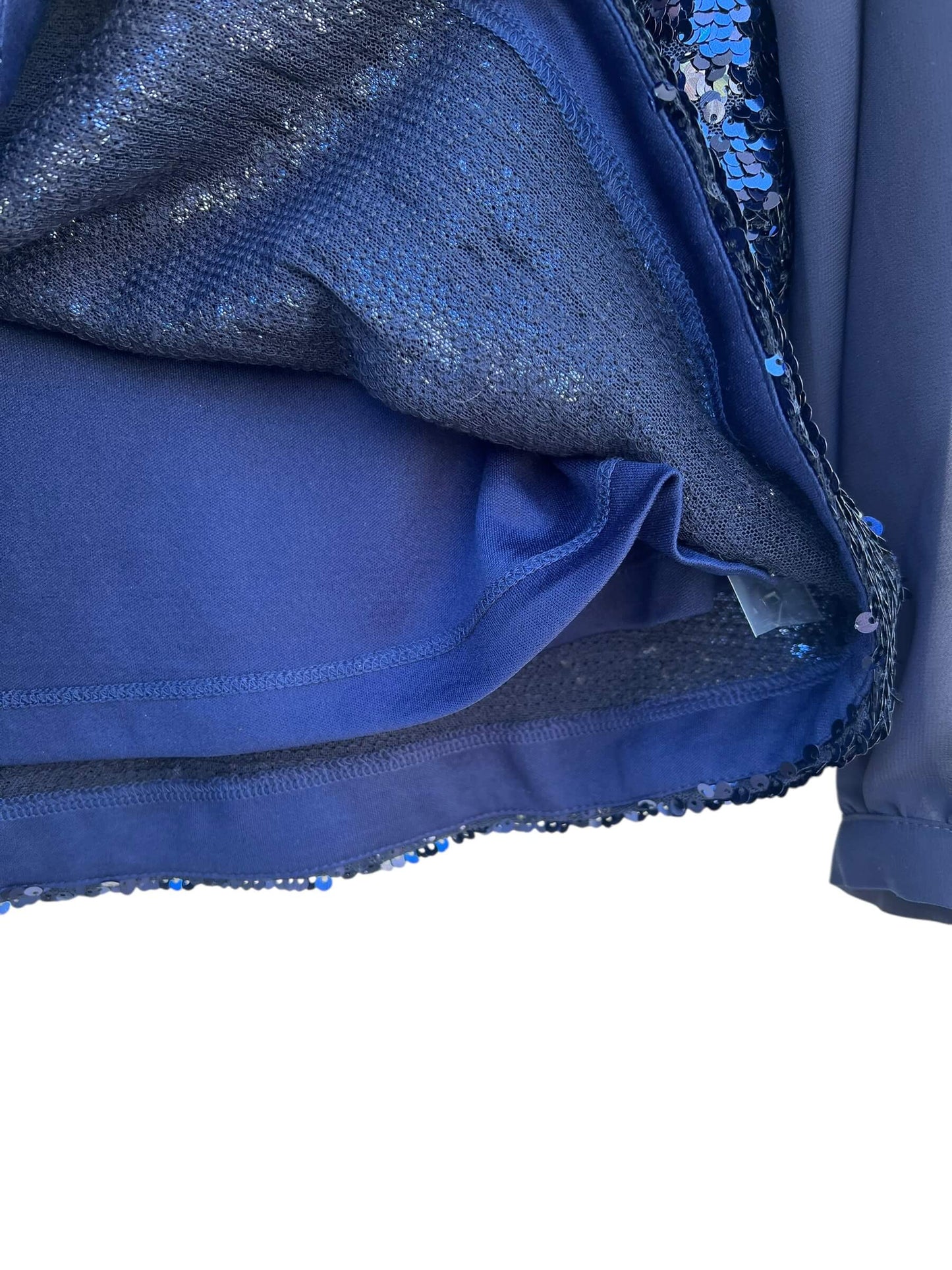 Warehouse Sequin Chiffon Top, Sz 10 (New with Tags)