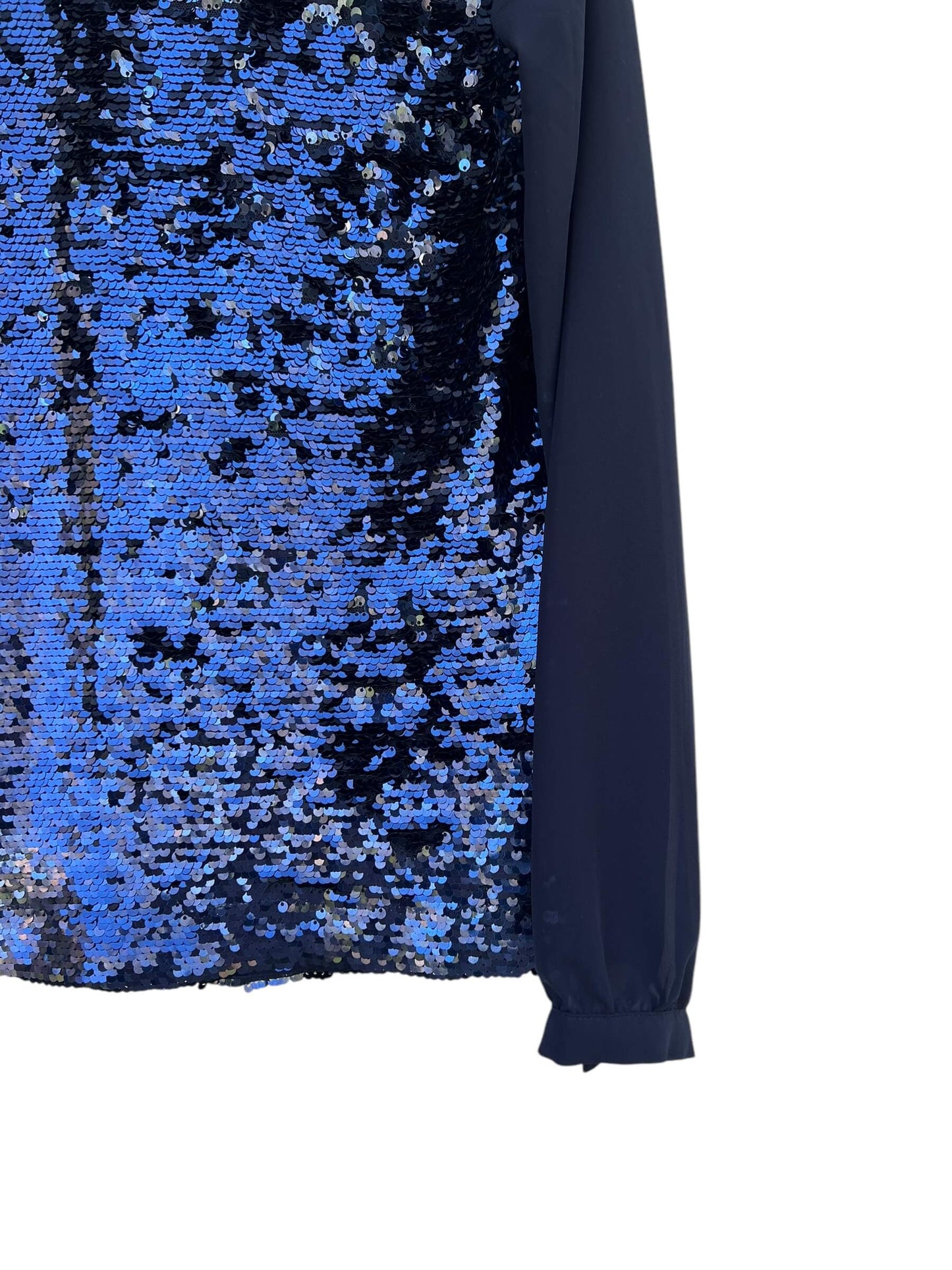 Warehouse Sequin Chiffon Top, Sz 10 (New with Tags)