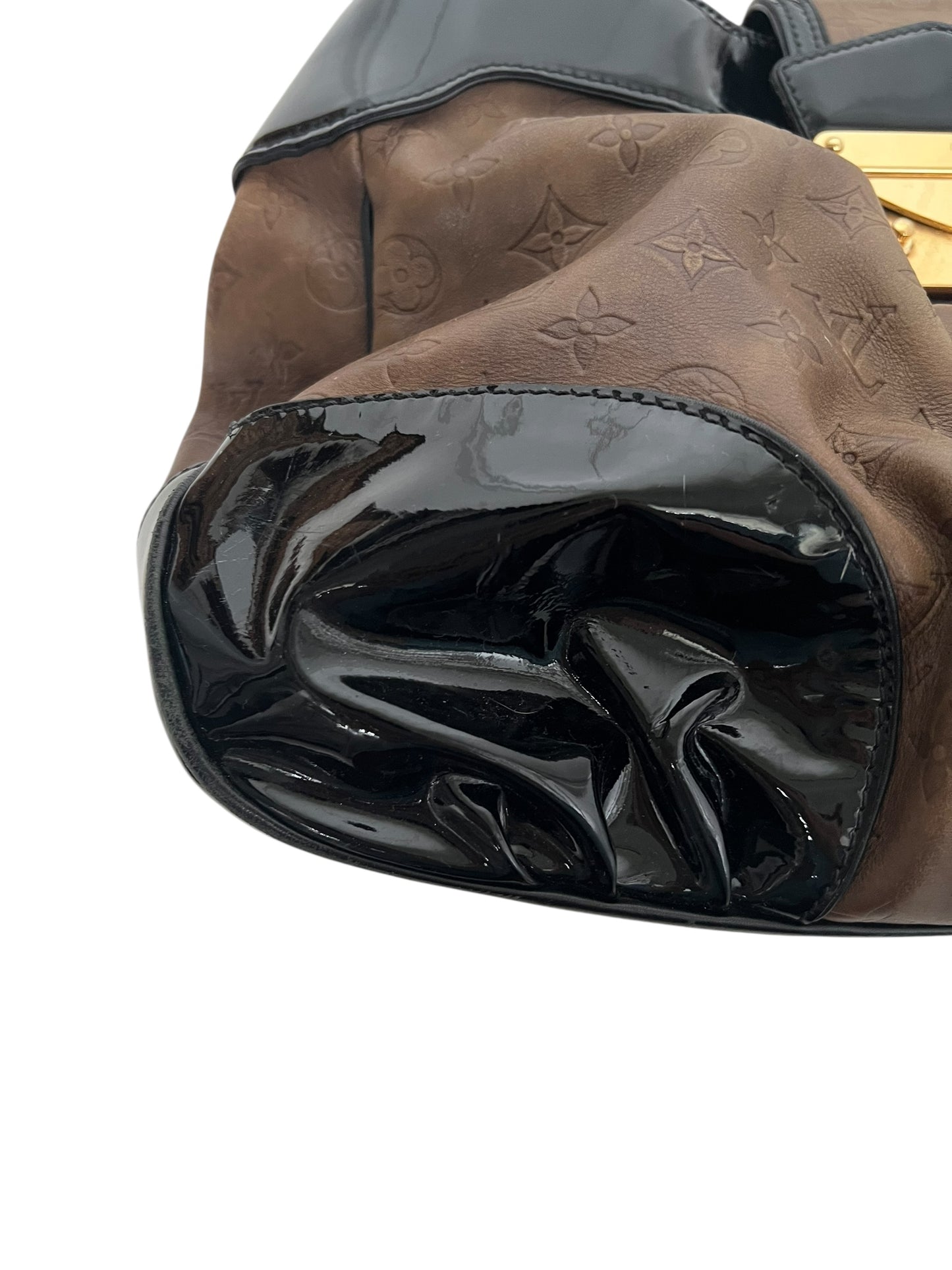 Louis Vuitton Polly Bag