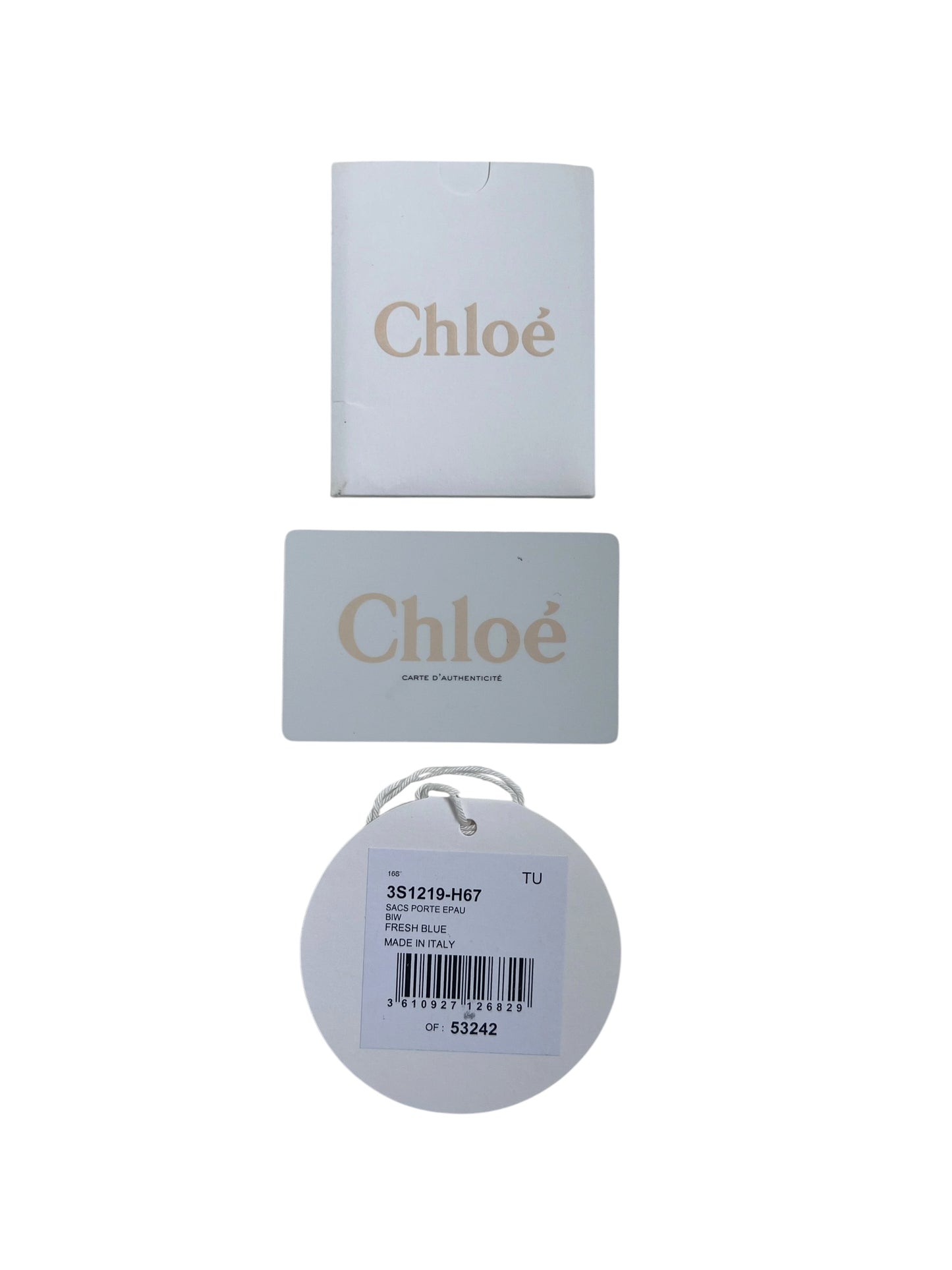 Chloe Hudson Bag
